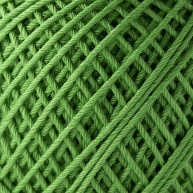 エミーグランデ<ハウス>