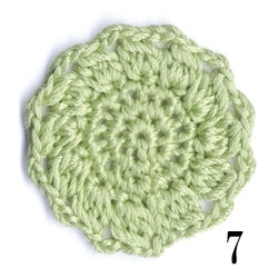 コットンノービア＜ヴァリエ＞